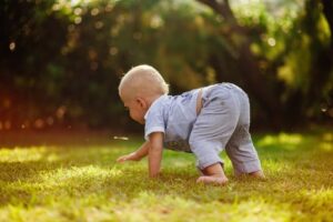 bear crawl - bending infant moves by walking on hands in the front and on feet in the back