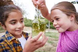 girls outdoors studying pond water in a jar