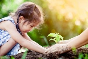 little girl plants a seedling in the earth, adult hands helping her
