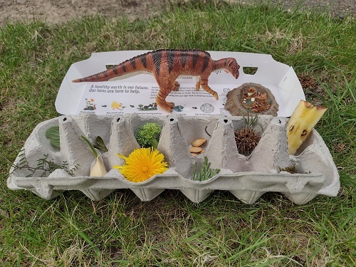 Egg carton filled with potential foods to feed a toy dinosaur - leaves, seeds, garlic glove, apple core, broccoli