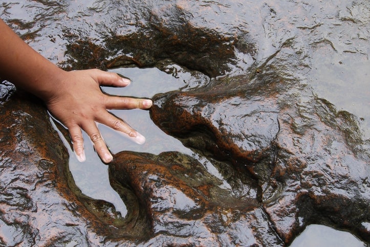 child's hand placed inside waterlogged fossil dinosaur footprint