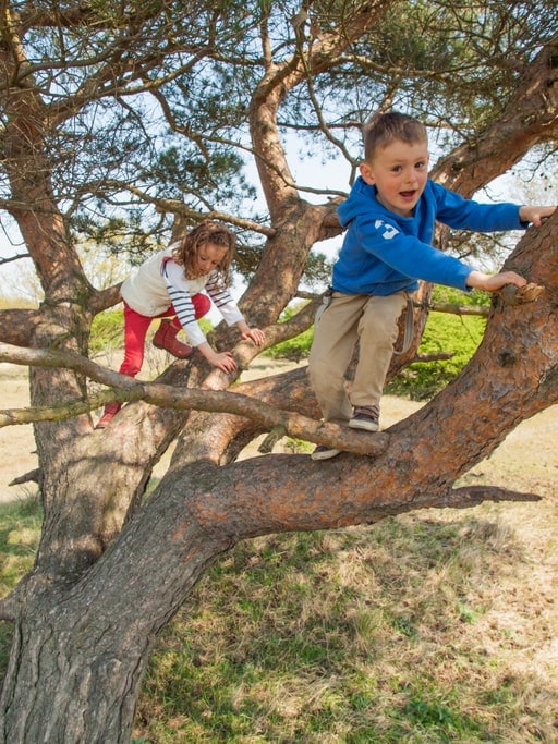 young boy and girl climbing a tree