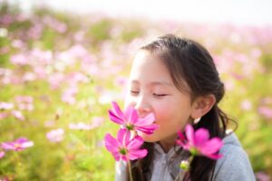 happy little girl smelling pink cosmos flowers on a bright sunny day