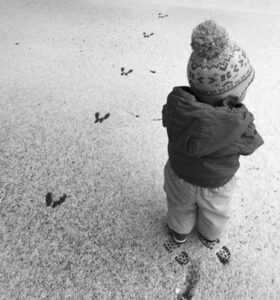 toddler standing in snow, near rabbit or hare tracks