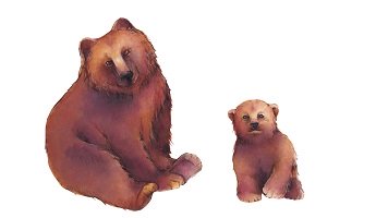 Drawing of a large parent bear with a baby bear