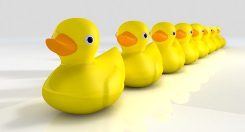 A line of identical, yellow, rubber duck toys